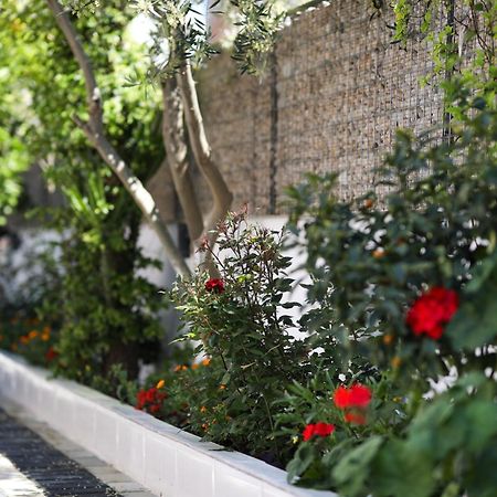 Vila Feliz - Premium Rooms With Free Private Parking Vlore Luaran gambar