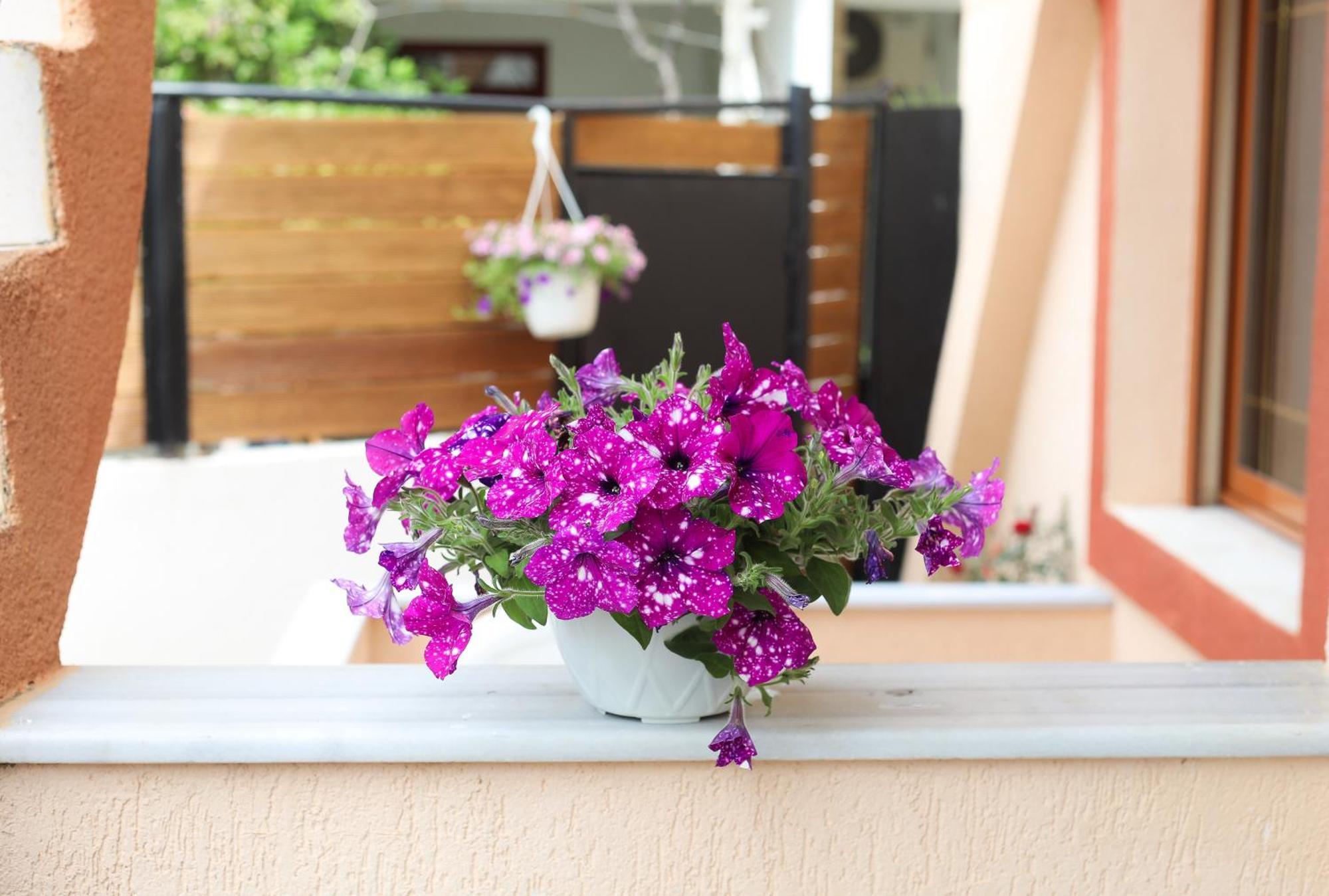 Vila Feliz - Premium Rooms With Free Private Parking Vlore Luaran gambar