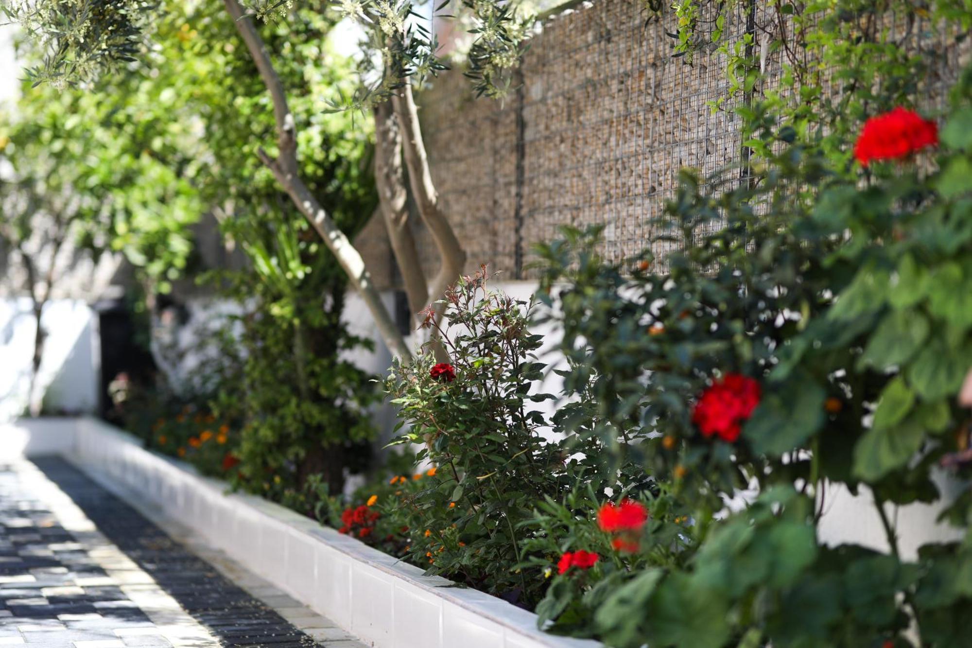 Vila Feliz - Premium Rooms With Free Private Parking Vlore Luaran gambar
