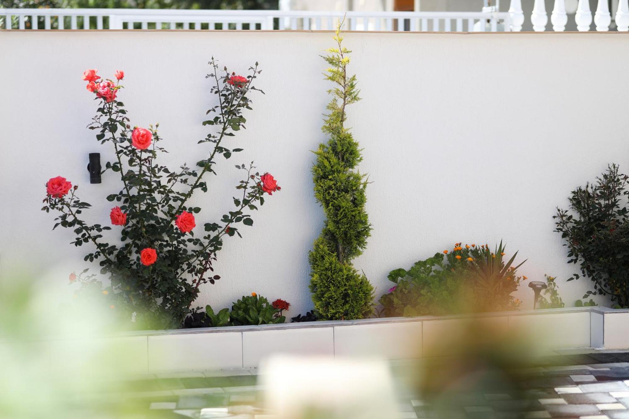 Vila Feliz - Premium Rooms With Free Private Parking Vlore Luaran gambar