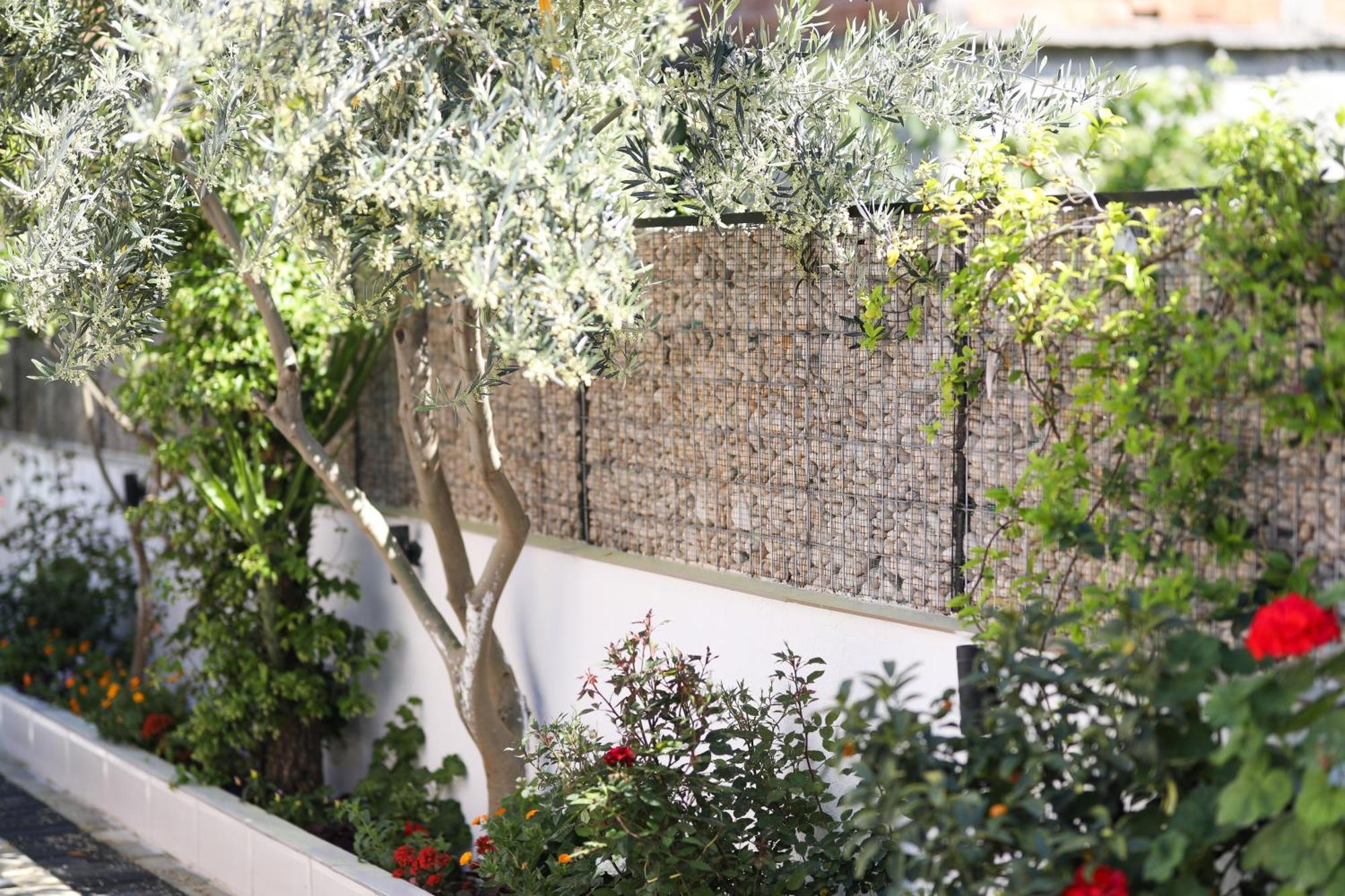 Vila Feliz - Premium Rooms With Free Private Parking Vlore Luaran gambar